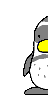 Peeping Penguin